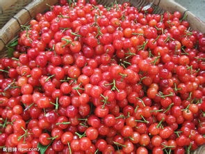 五月最该吃的应季水果，送给爱吃水果的你！