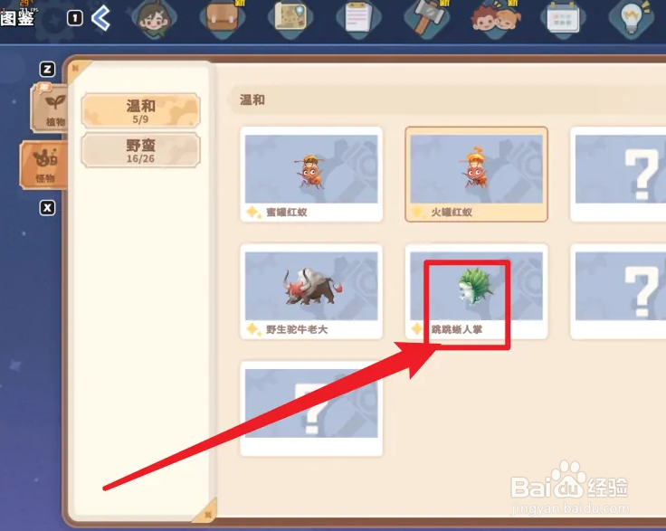 沙石镇时光阿蜜拉攻略