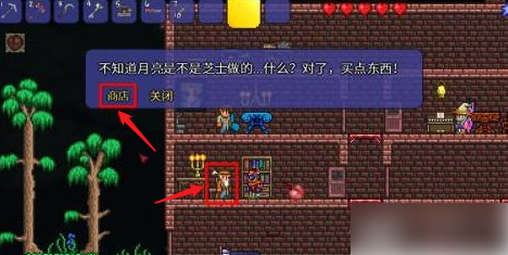 泰拉瑞亚带带玩偶怎么得