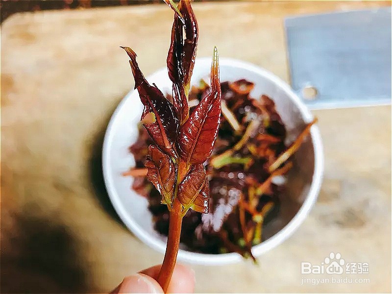 怎样做出家常菜系列之香椿拌豆腐