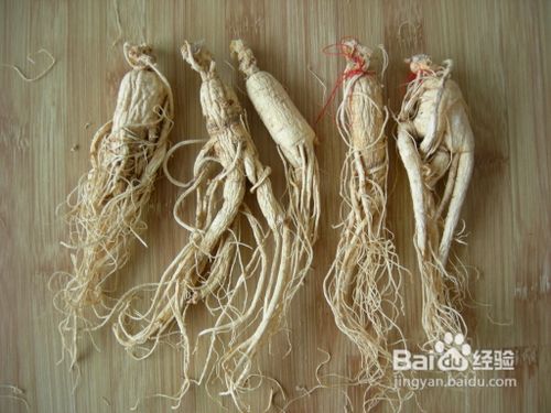 早泻的治疗方法