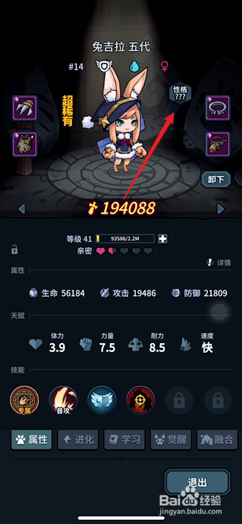 提灯与地下城如何鉴定宠物