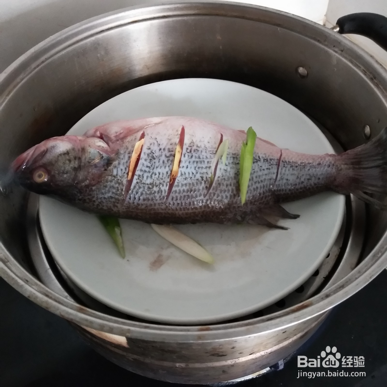 清蒸鲈鱼的家常做法