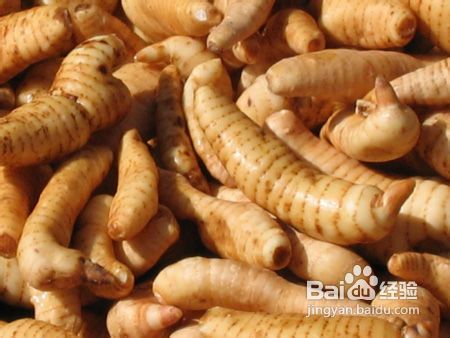 治疗糖尿病的良方,糖尿病怎么治