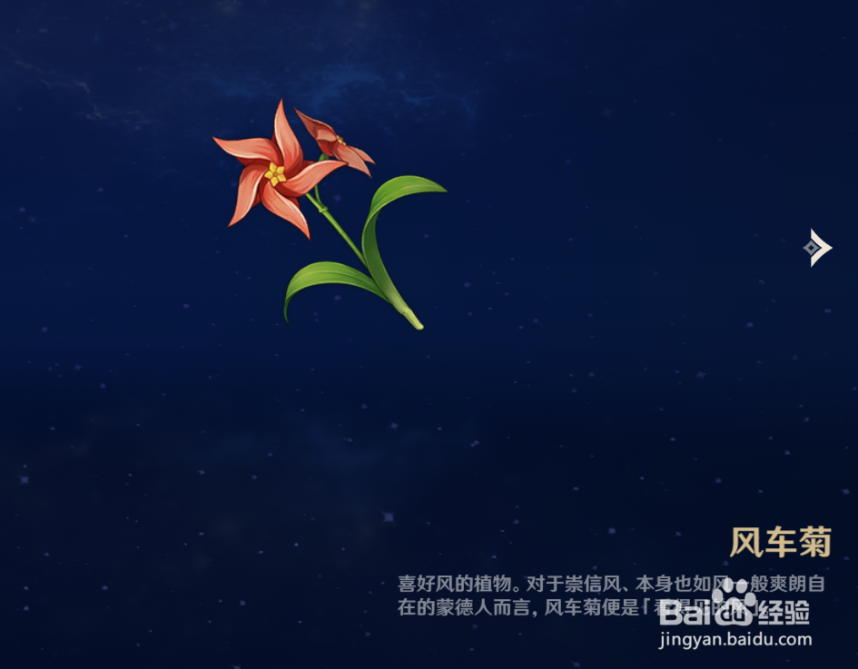 原神中如何查看风车菊物品的解说