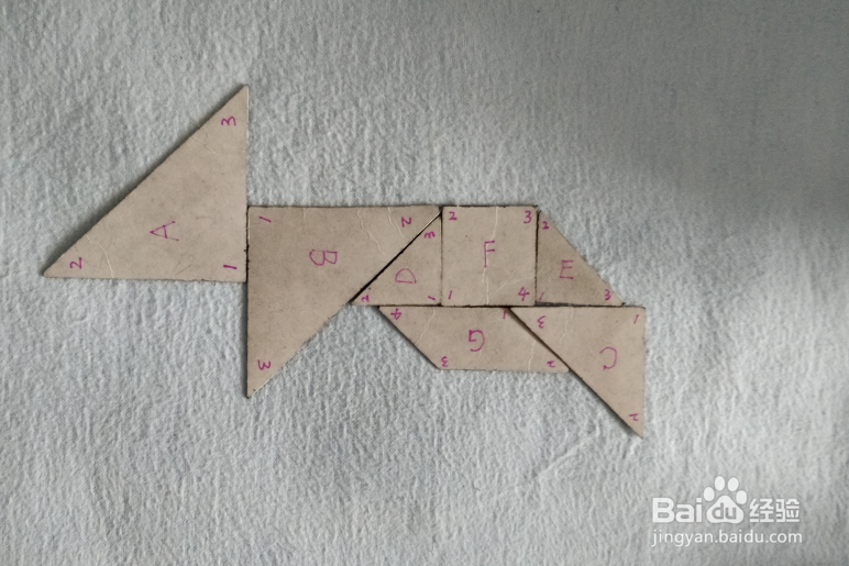 用七巧板怎样拼一只奔跑的野猪?