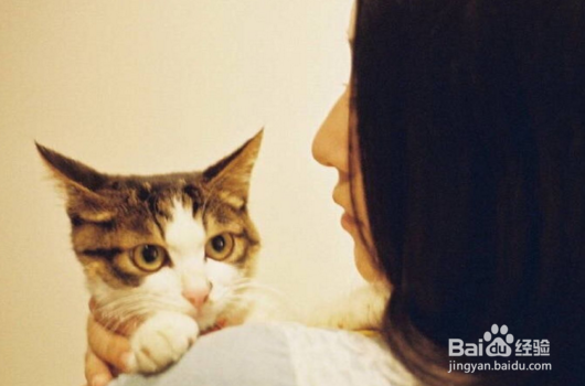 身边的女人真的爱你吗？有这6个表现一定不爱你!