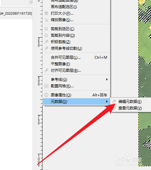 GIMP在哪编辑元数据