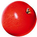 那些食物能够防病抗病?