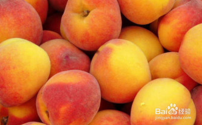 吃桃子吃到虫子怎么办