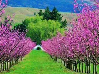 《_______真美》半命题作文