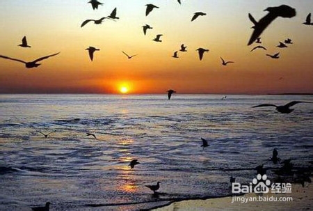 最美中国行之最美十大海岛