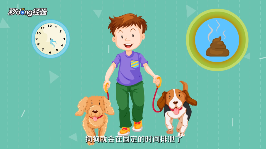 遛狗怎么催大便