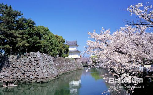 日本旅游注意事项之2012年版