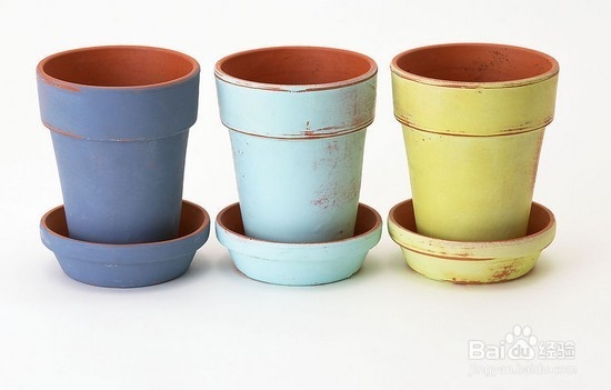 富贵竹怎么料理