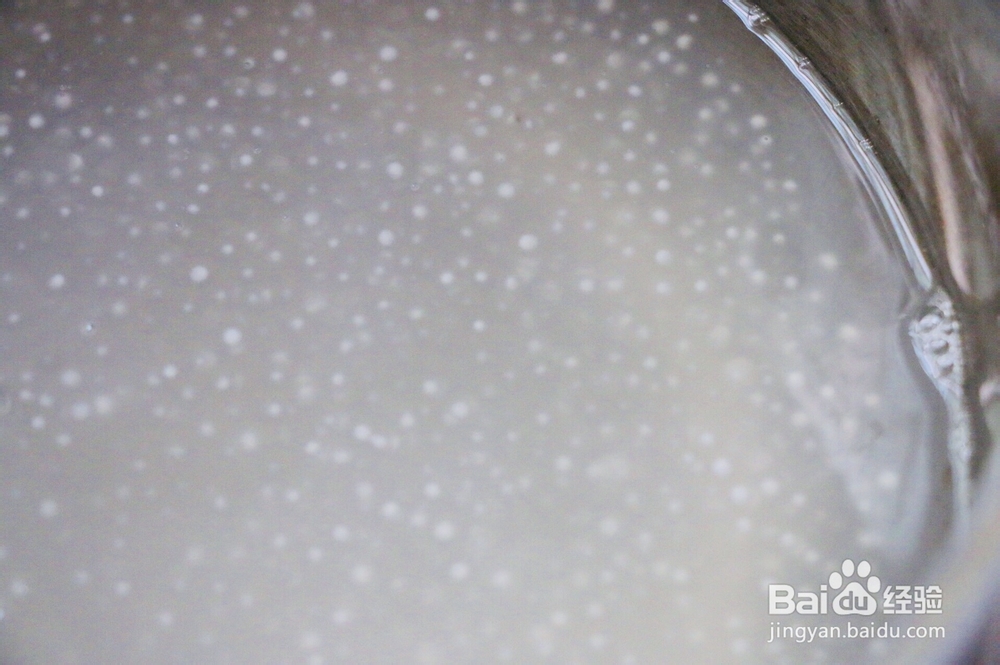 一次就会的西米