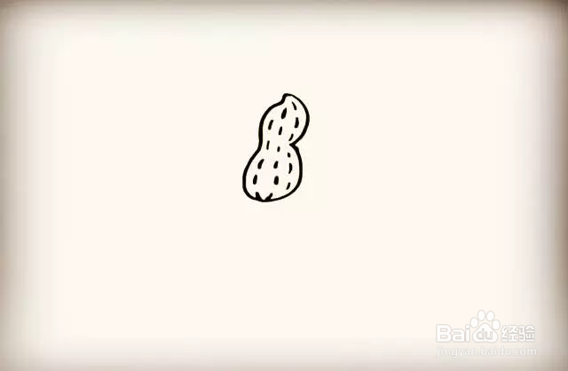 简笔画怎么画花生
