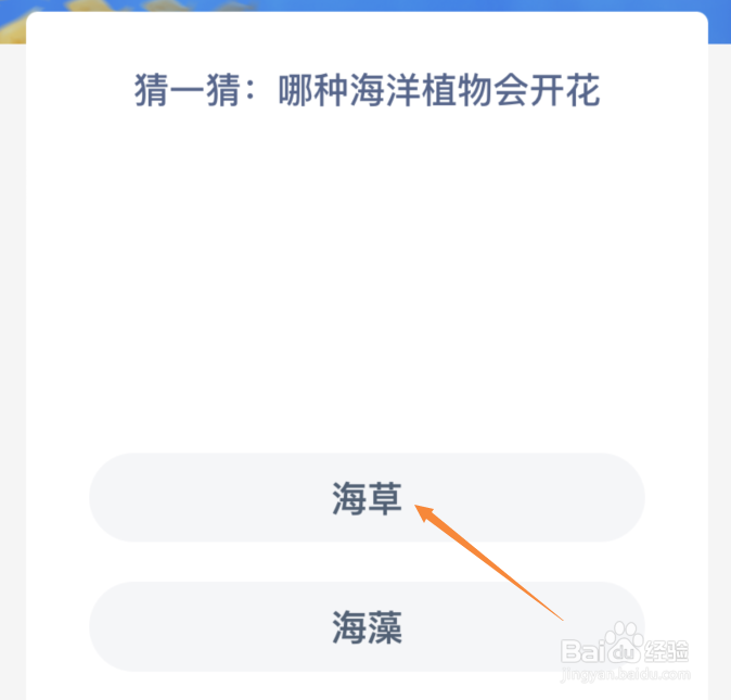 哪种海洋植物会开花