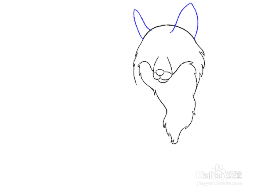 如何绘制狐狸