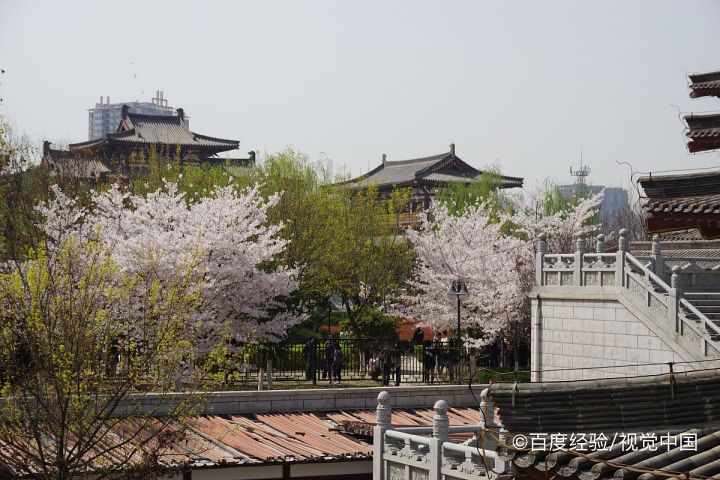 平谷梨树沟一日游攻略