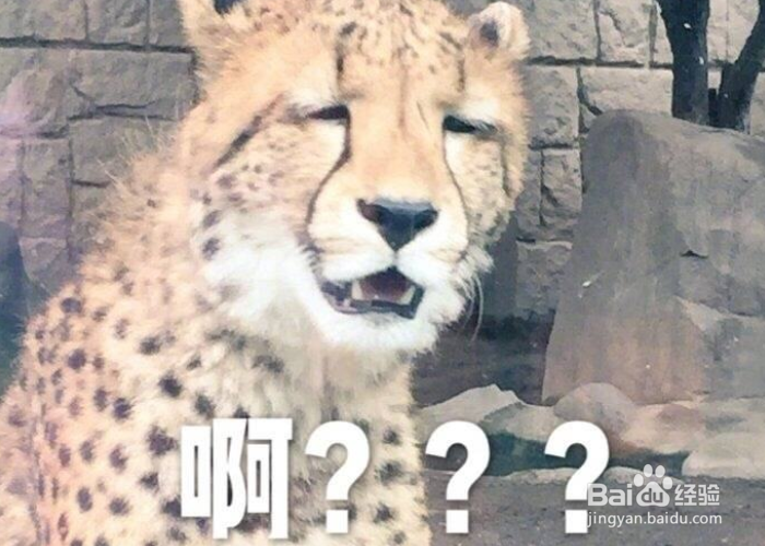 520与250的区别有哪些