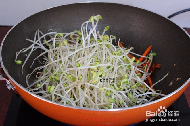 泡椒豆芽菜的做法