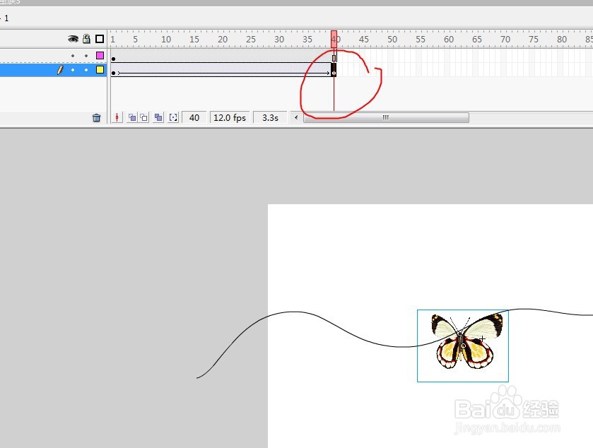 flash制作蝴蝶按照引导线进行飞翔的动画