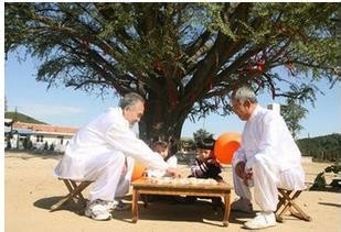 老年人的长寿要诀