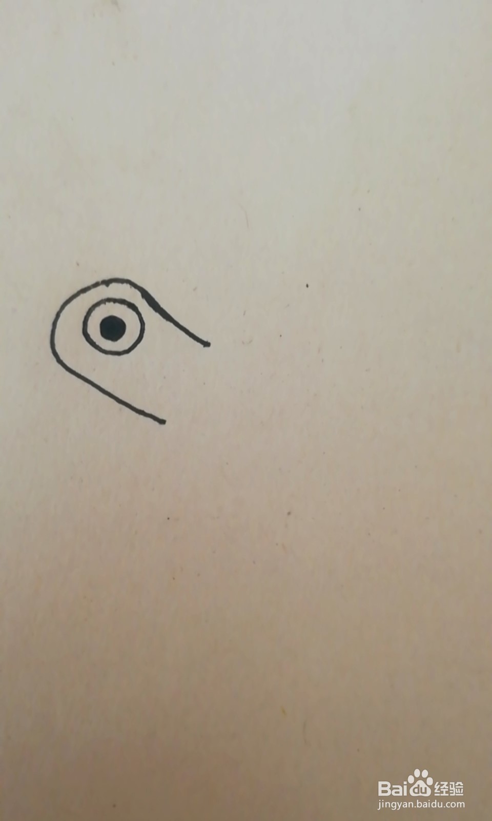 简笔画-爬行的小乌龟怎么画