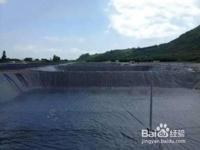 改进养虾措施与管理方式