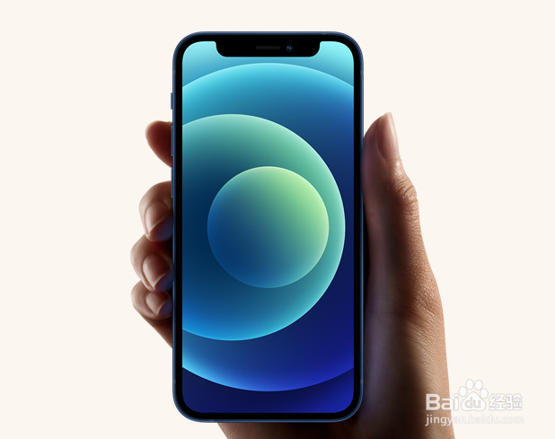 iPhone12如何进行长截屏