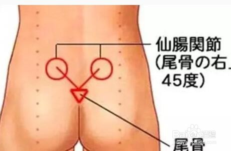 腰痛只需两颗网球!