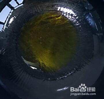 美味可口豆角小炒肉的家常做法