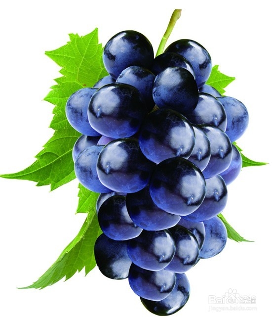 10种食品秋季多吃 美体养生两不误