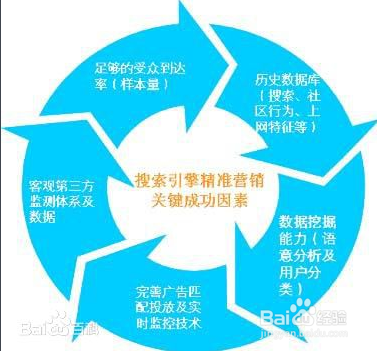 嬴铮SEM分析账户