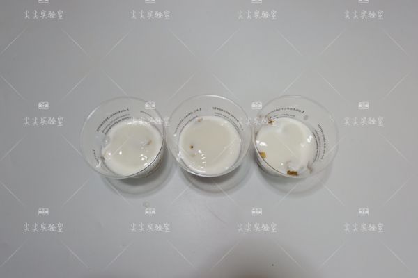 黄桃酸奶燕麦杯