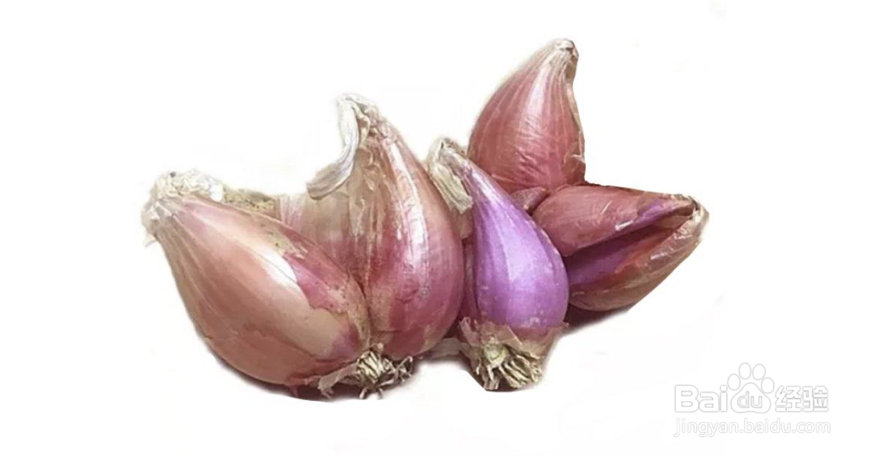 香葱头怎么种植方法