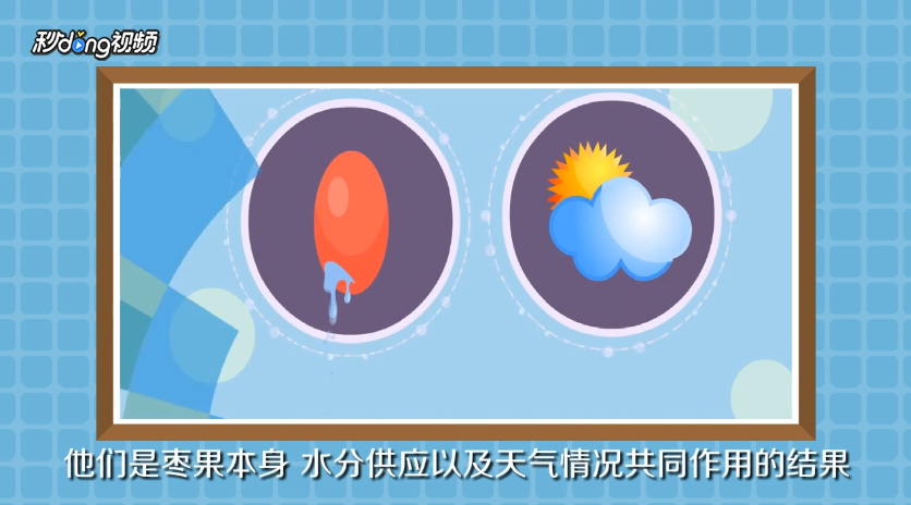 红枣为何会开裂