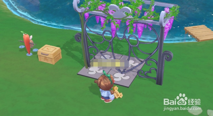 摩尔庄园怎么让白鲸飞天