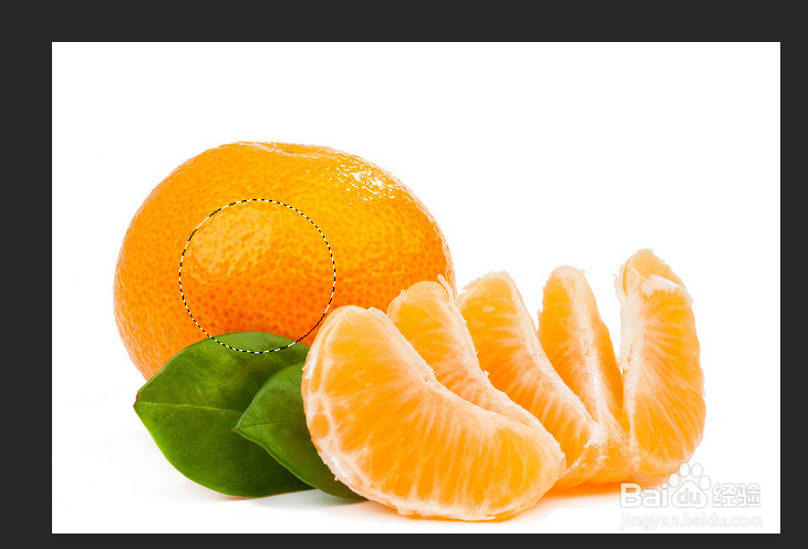 PS中选区的调整