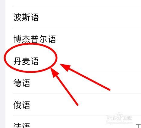 iPhone14如何设置朗读内容的声音为丹麦语