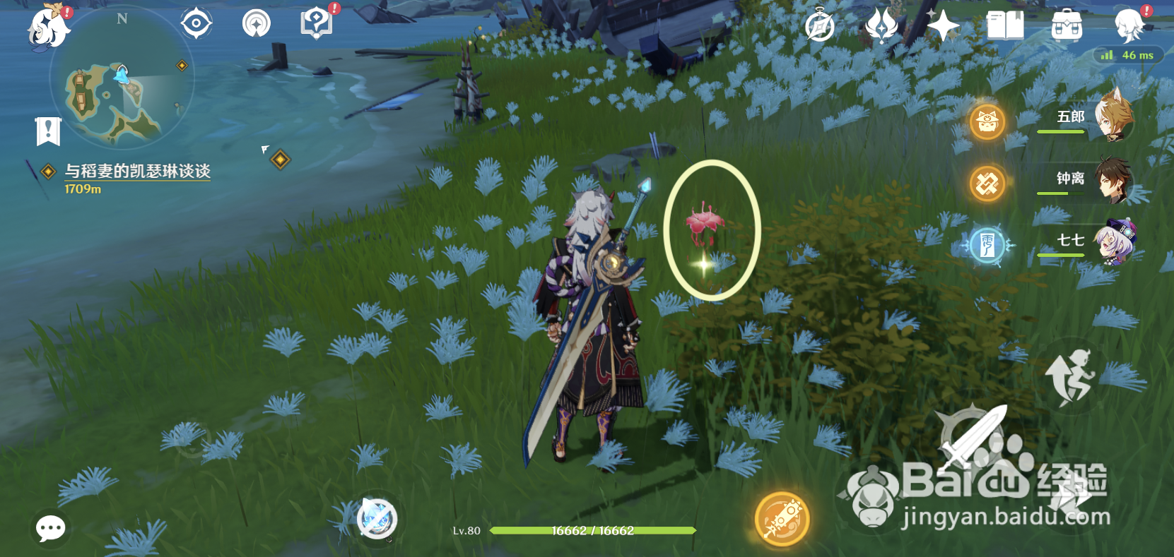 原神稻妻区域特产在哪