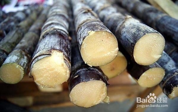 冬季嘴唇干燥爆裂怎么办