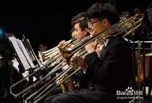 传统音乐中的乐队有哪些种类