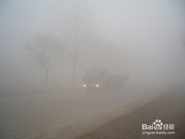山区夜间开车遇到大雾怎么办？