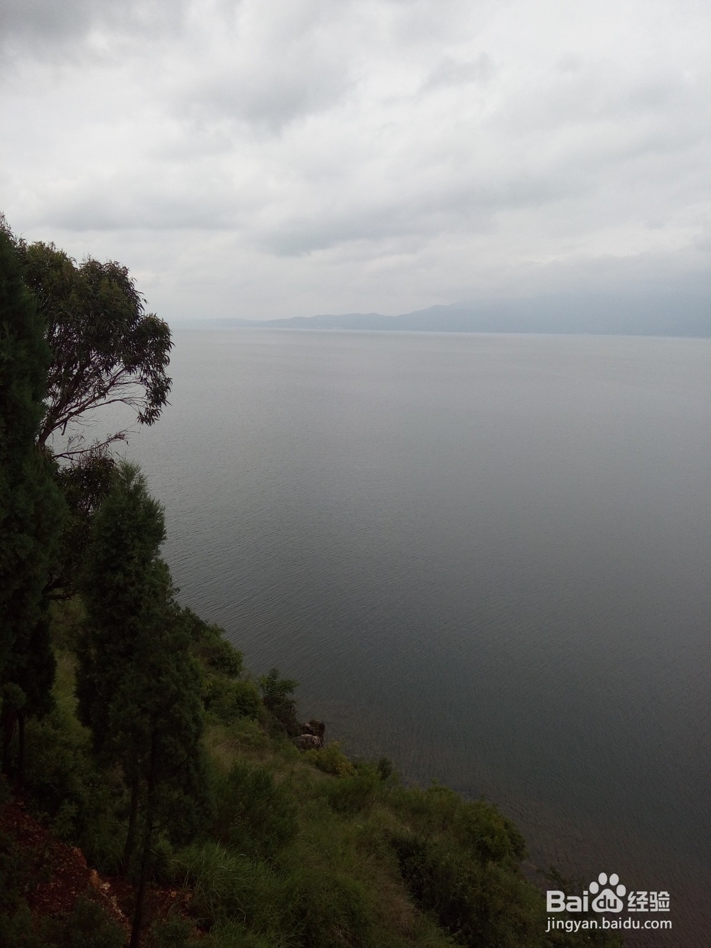 云南最美玉溪抚仙湖之樱花谷湿地公园情侣约会旅