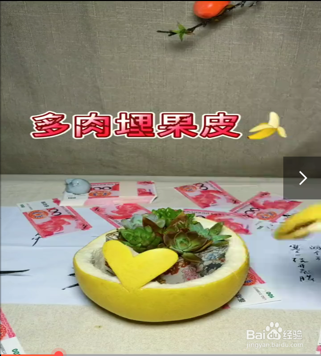 四种养花小妙招