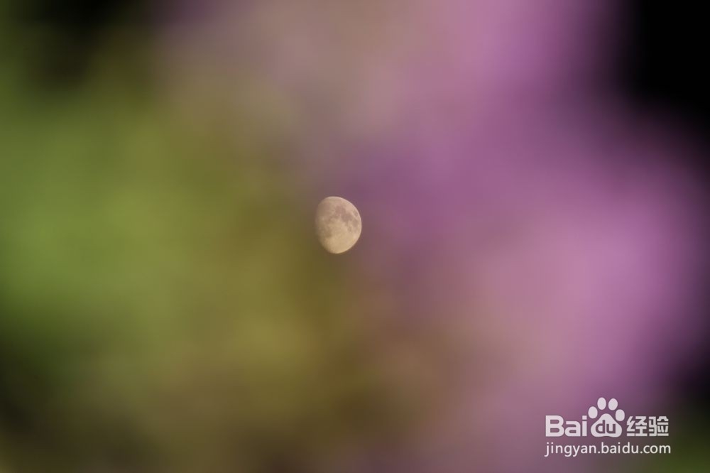 如何给晚上的月亮加上一层背景（摄月教学）