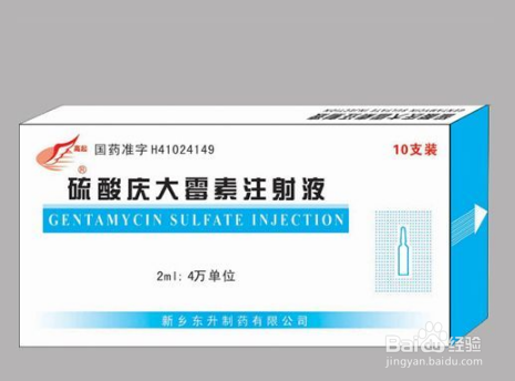 玄凤鹦鹉疾病--肠炎