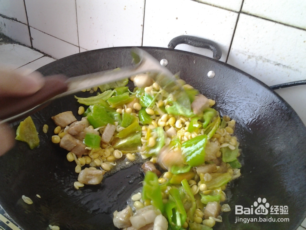 肉炒黄豆芽尖椒